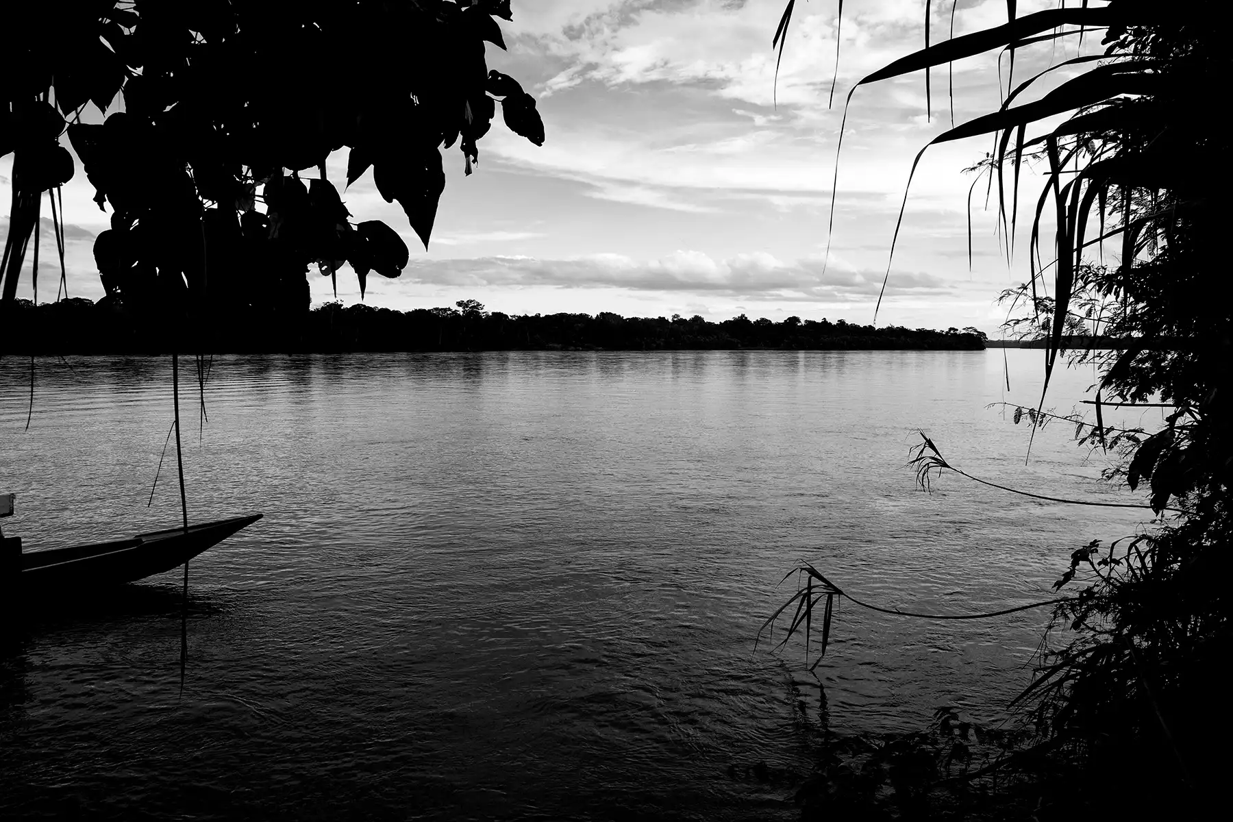 Gonçalo Cunha de Sá