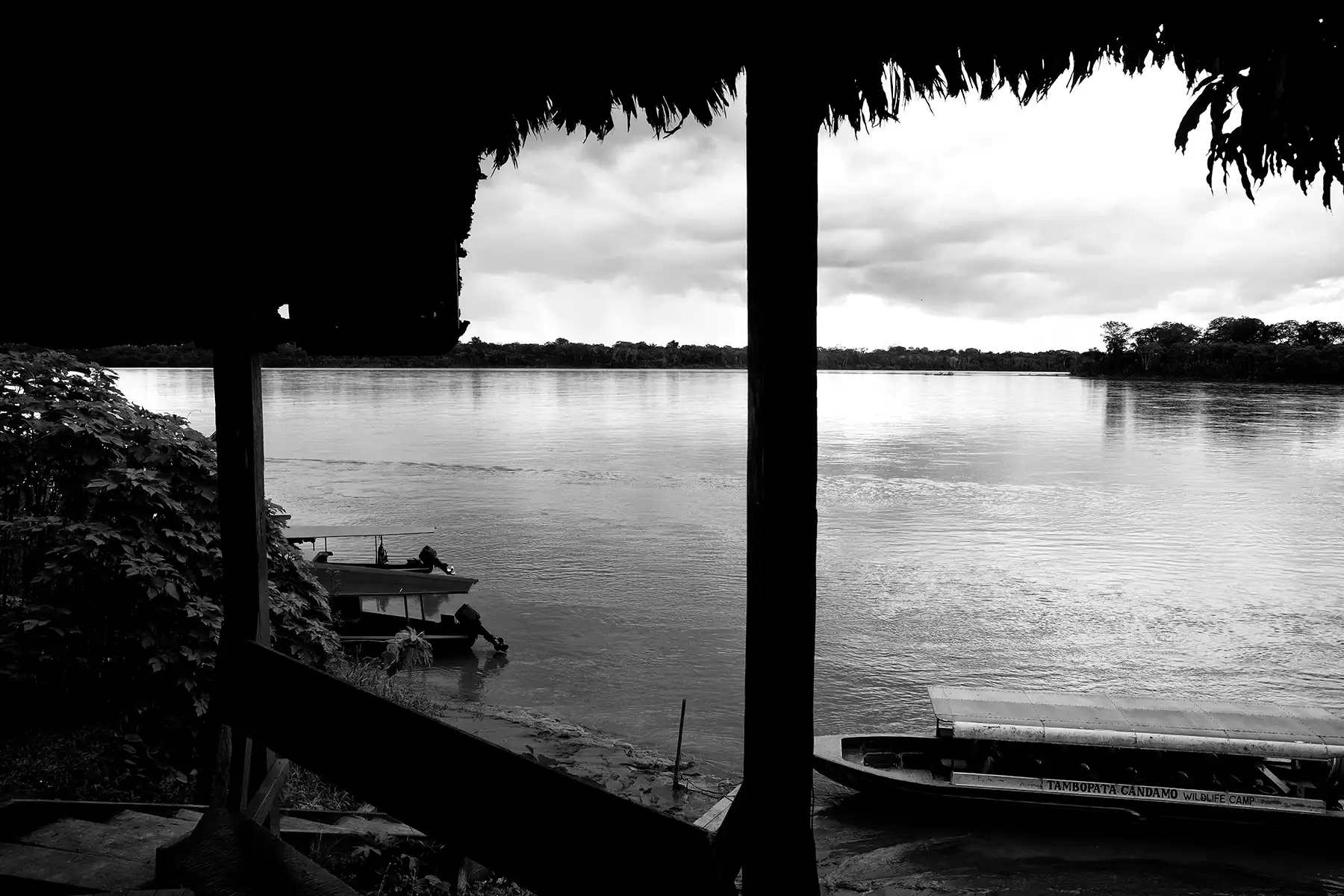 Gonçalo Cunha de Sá