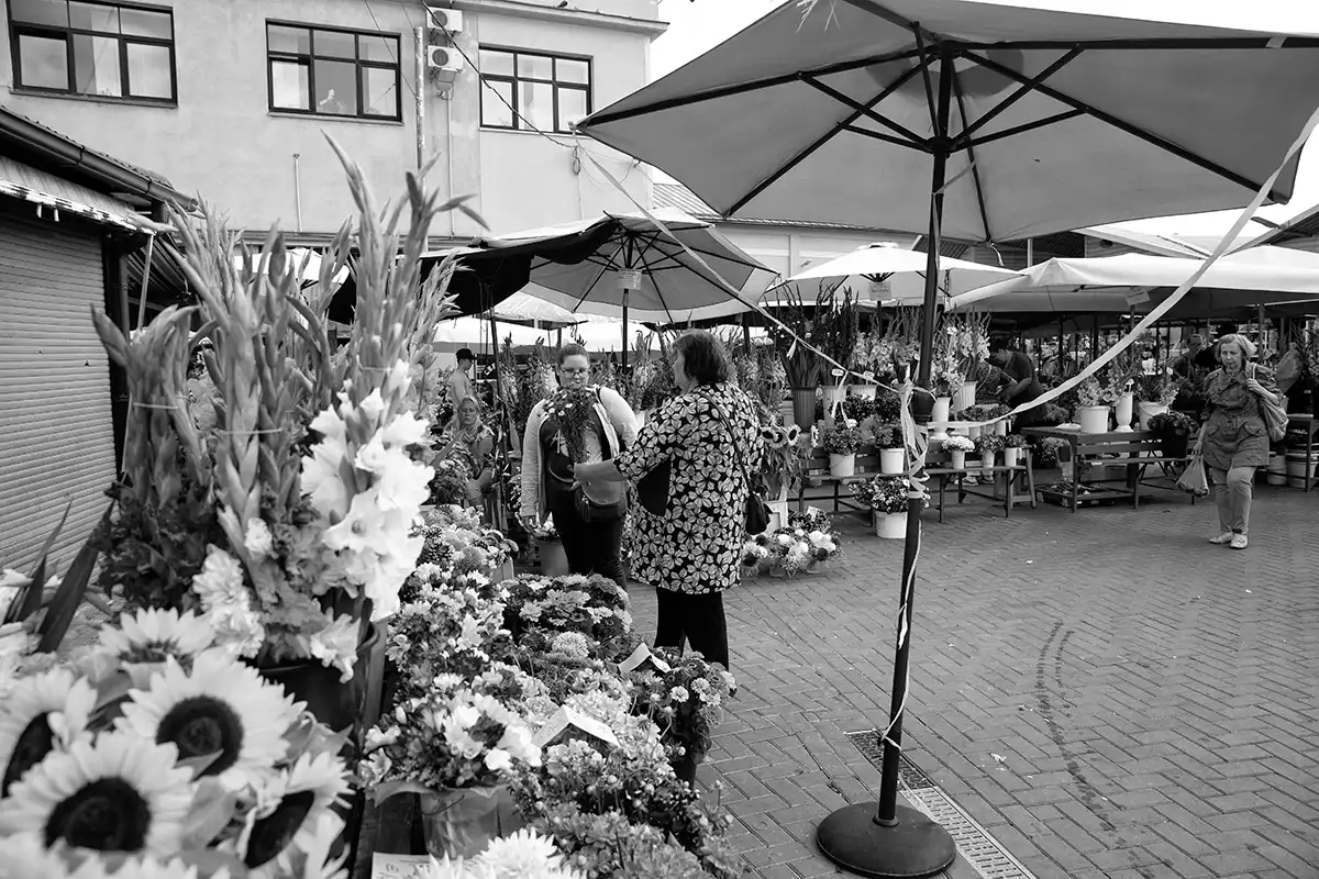 Gonçalo Cunha de Sá