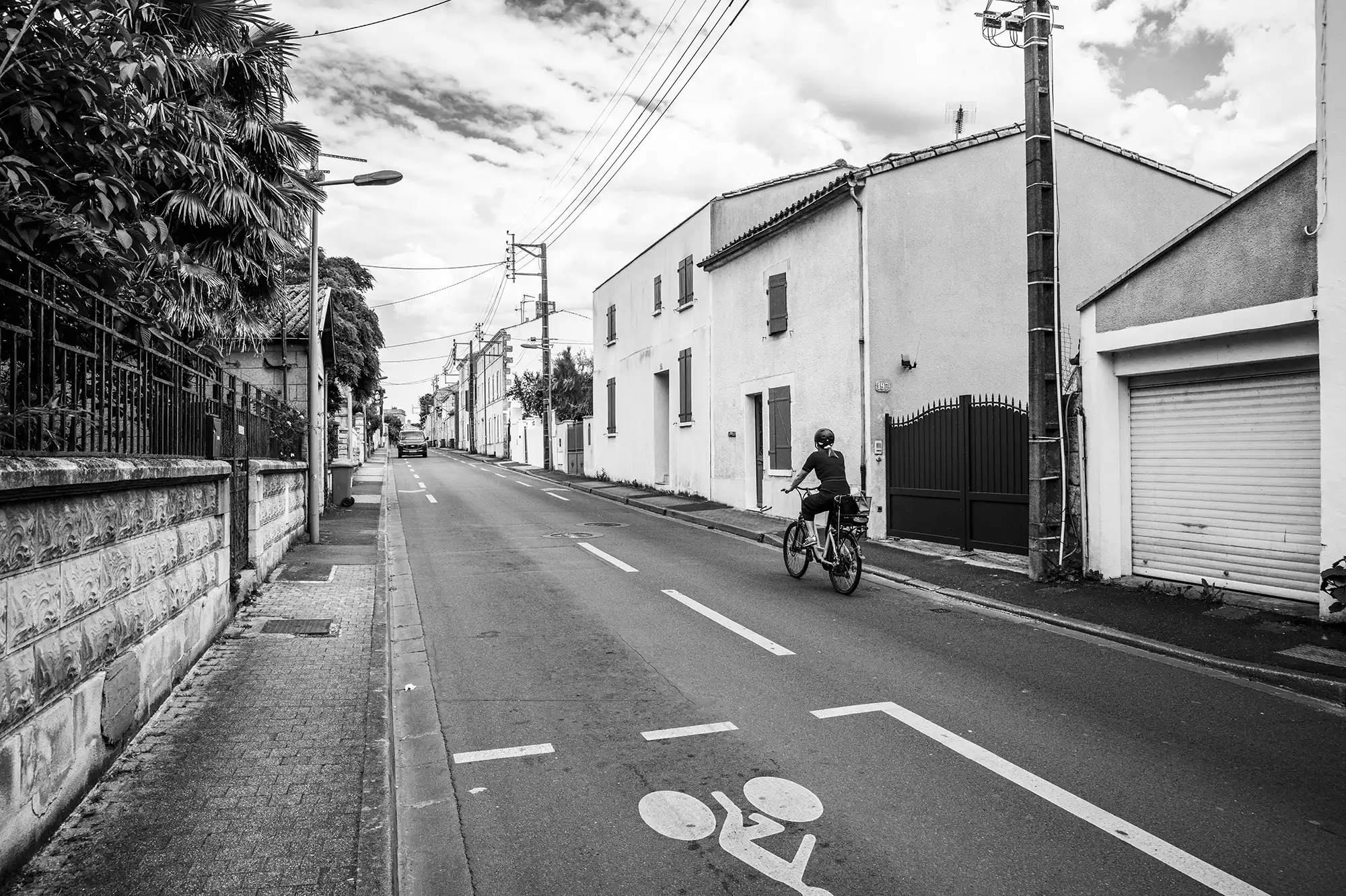 Gonçalo Cunha de Sá