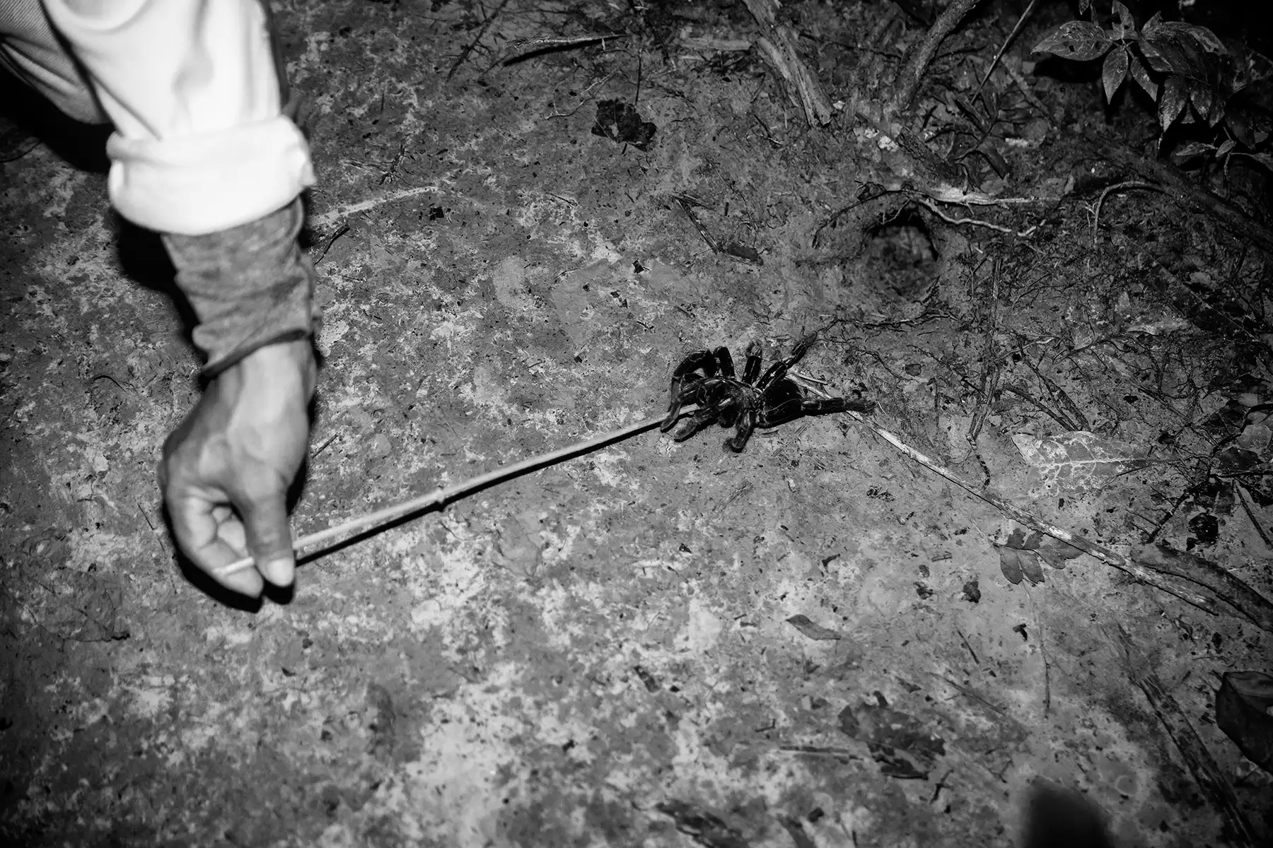 Gonçalo Cunha de Sá