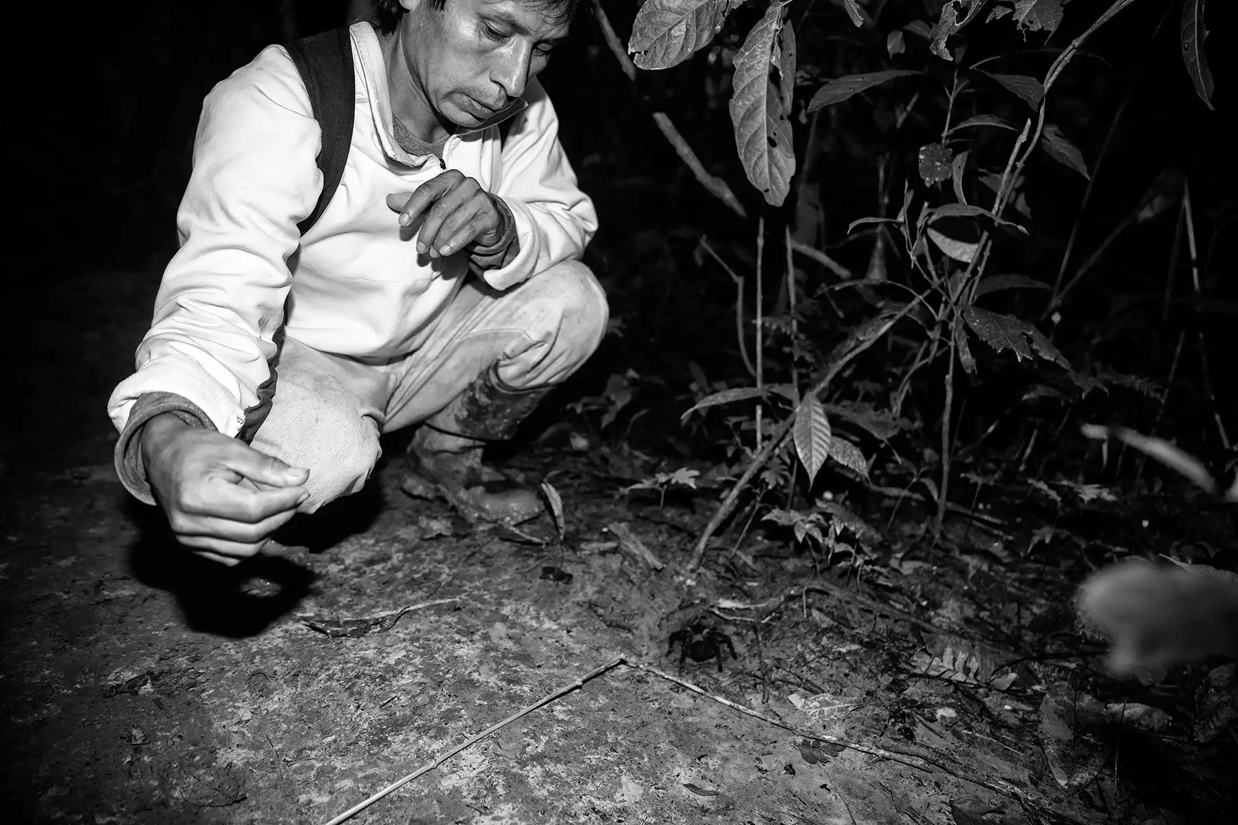 Gonçalo Cunha de Sá