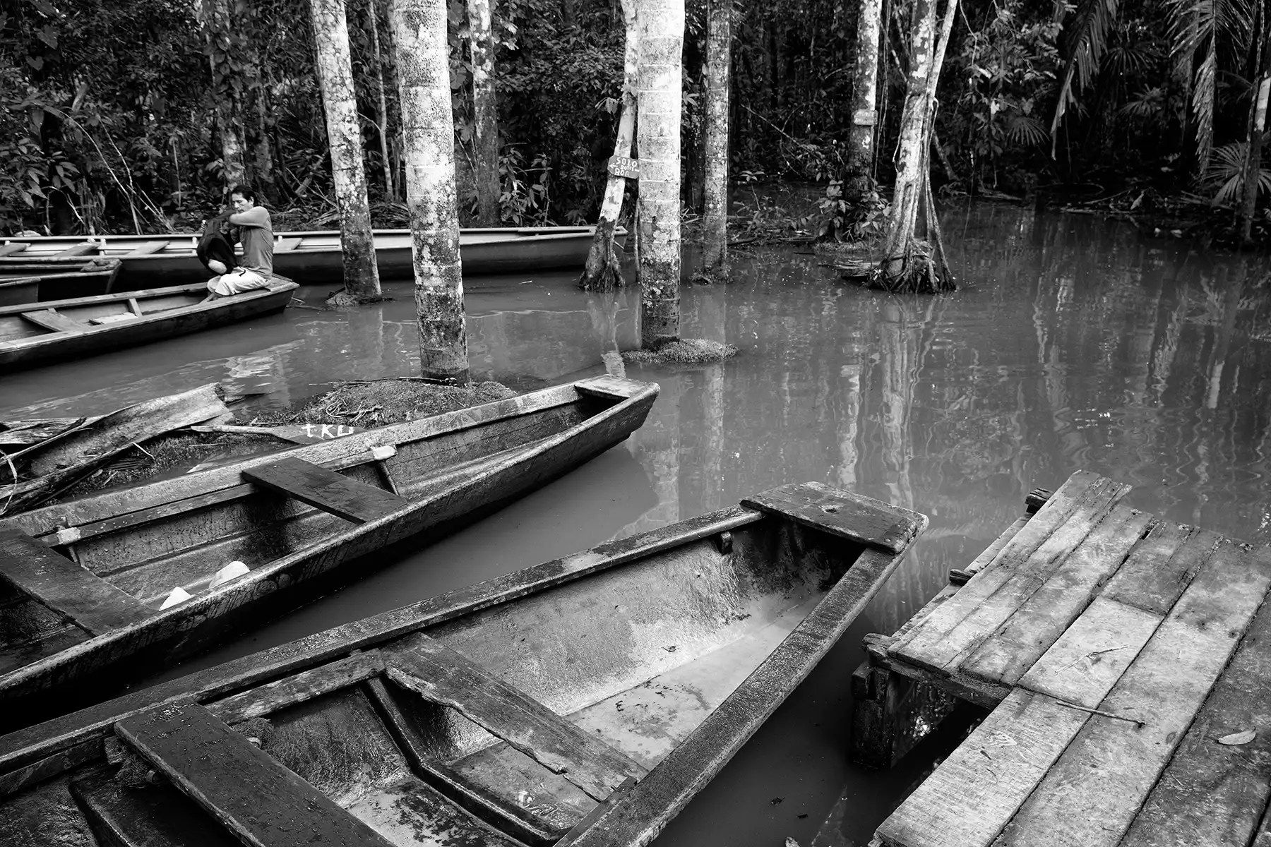 Gonçalo Cunha de Sá