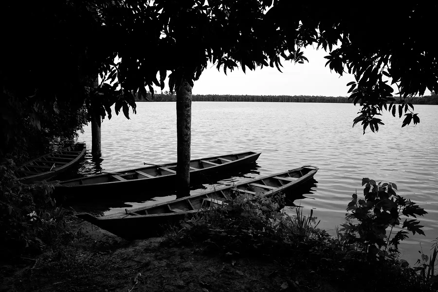 Gonçalo Cunha de Sá