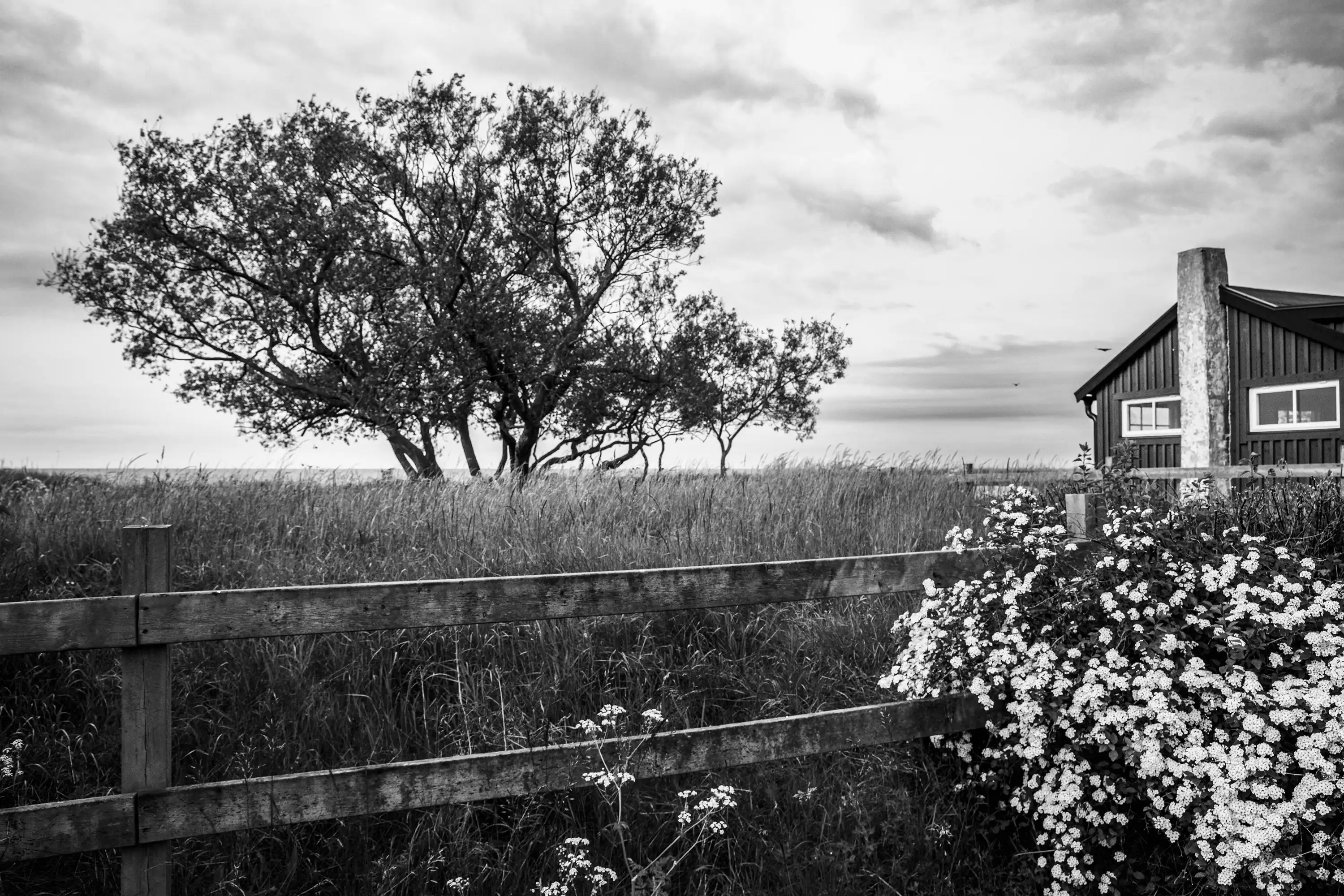 Gonçalo Cunha de Sá