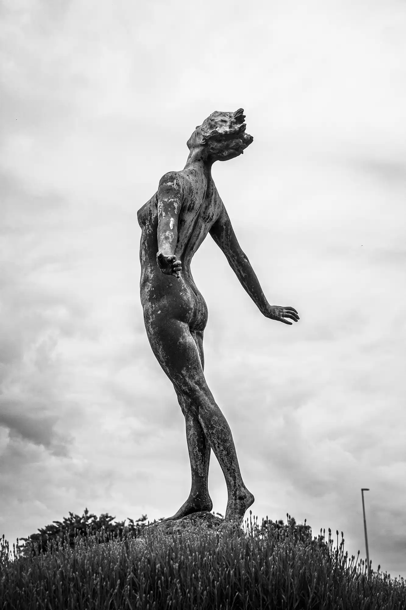 Gonçalo Cunha de Sá