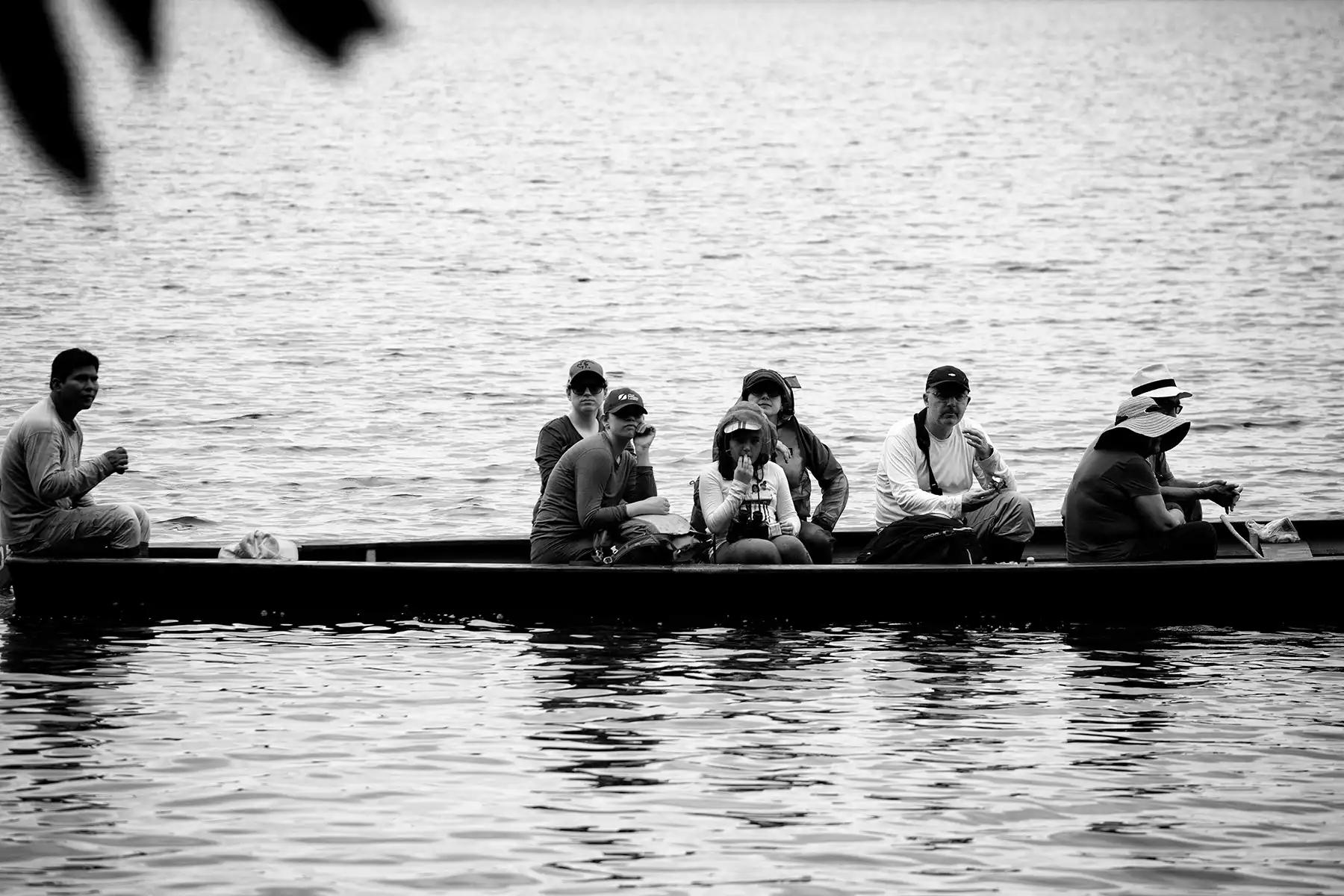 Gonçalo Cunha de Sá