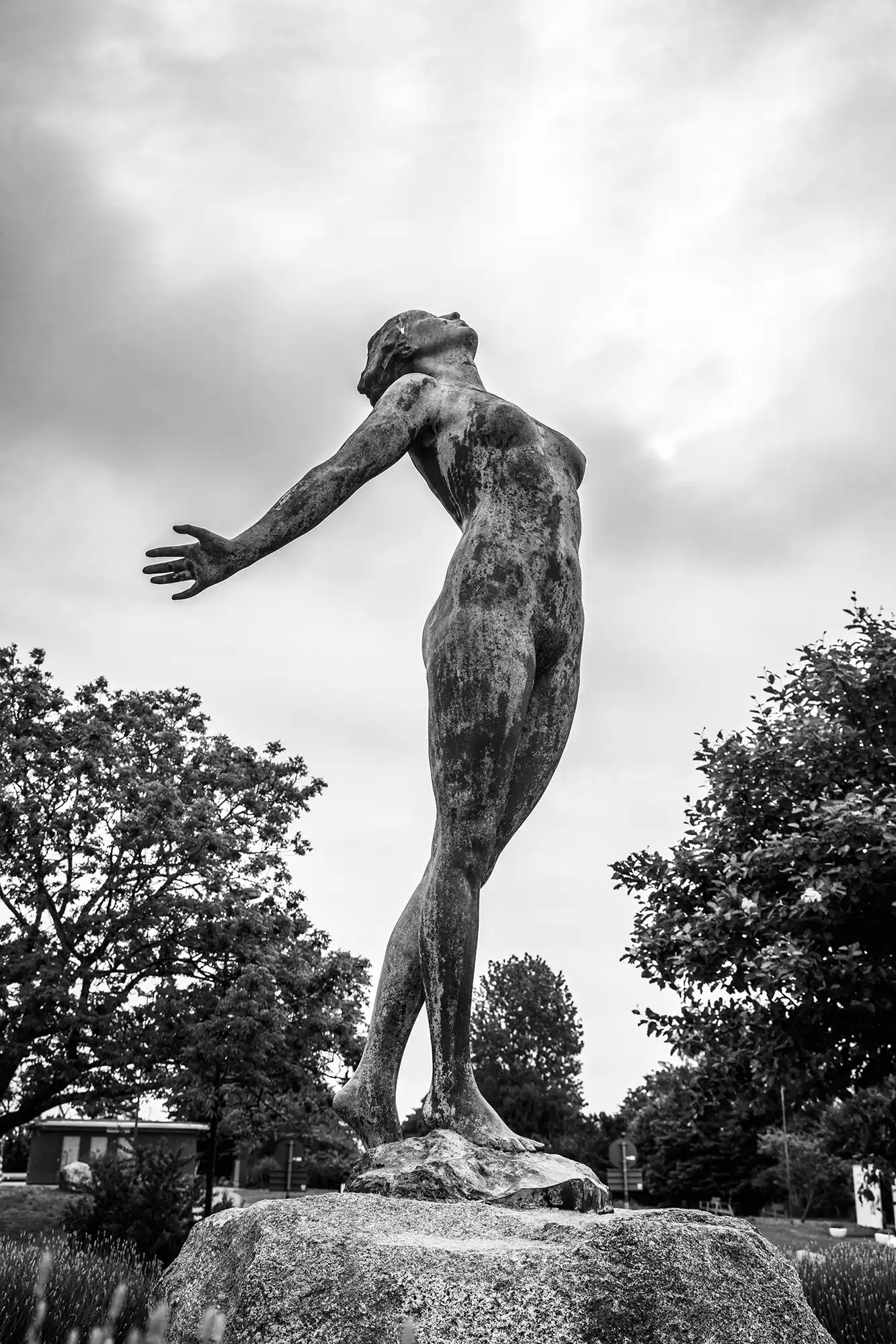 Gonçalo Cunha de Sá