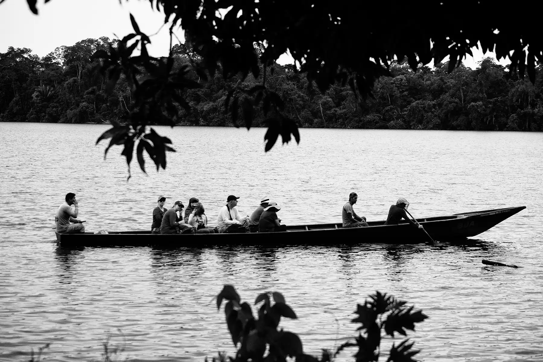 Gonçalo Cunha de Sá