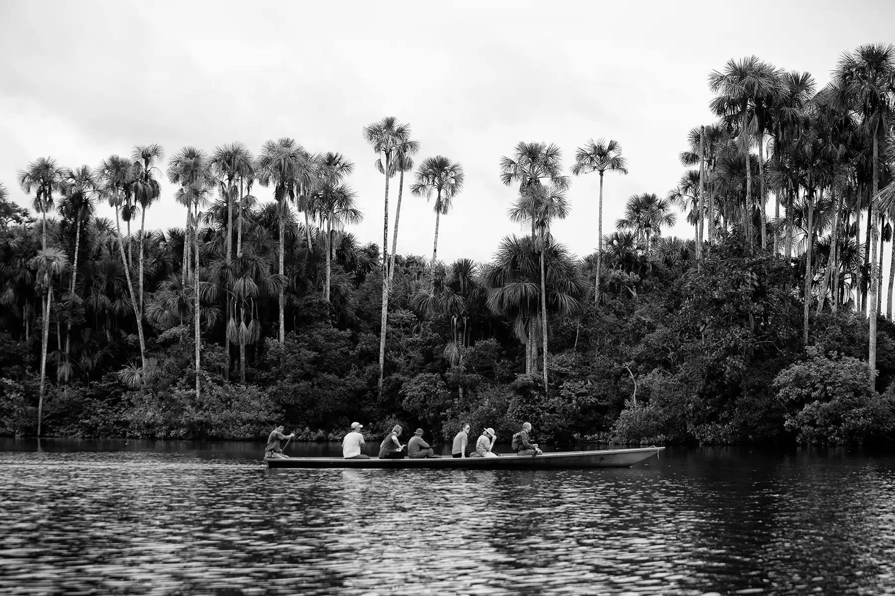 Gonçalo Cunha de Sá