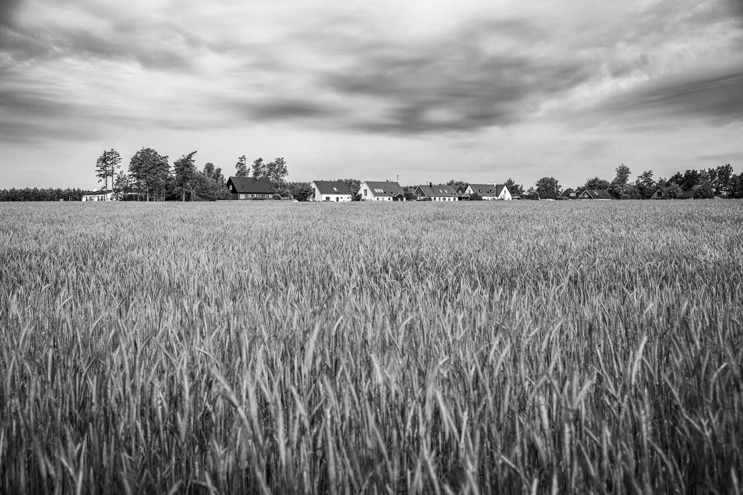 Gonçalo Cunha de Sá
