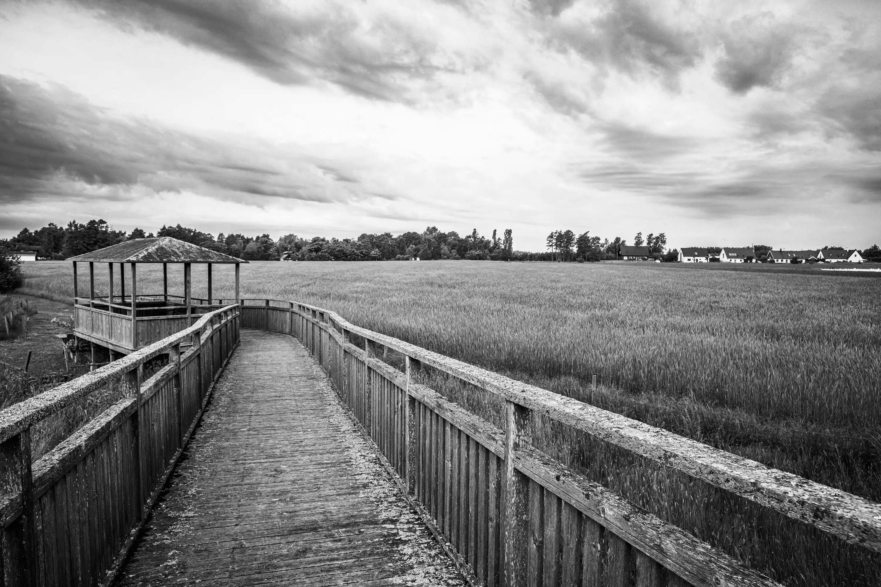 Gonçalo Cunha de Sá