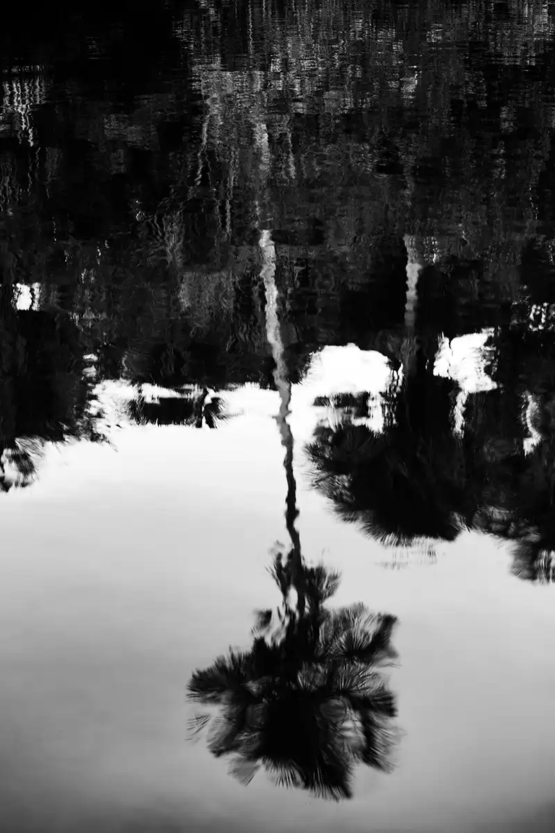 Gonçalo Cunha de Sá