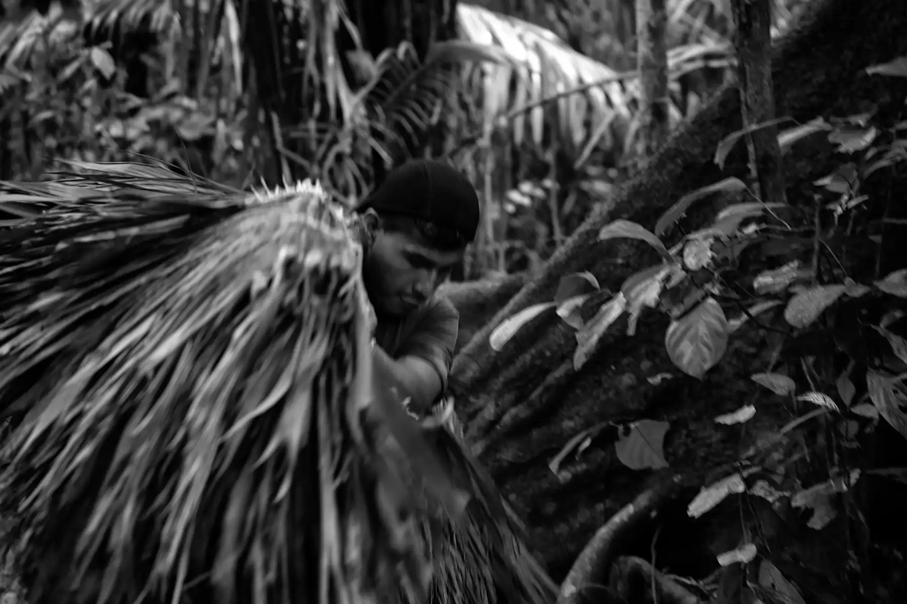 Gonçalo Cunha de Sá