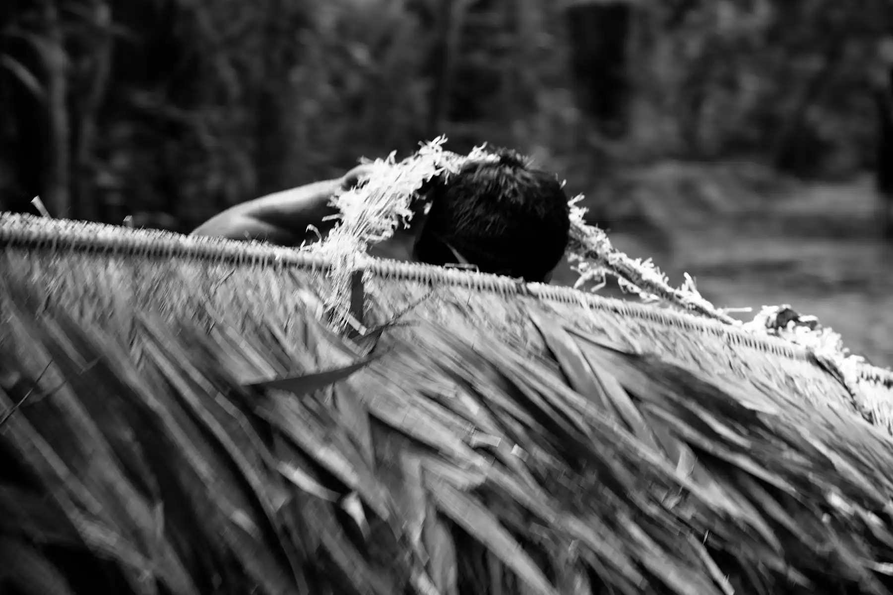 Gonçalo Cunha de Sá