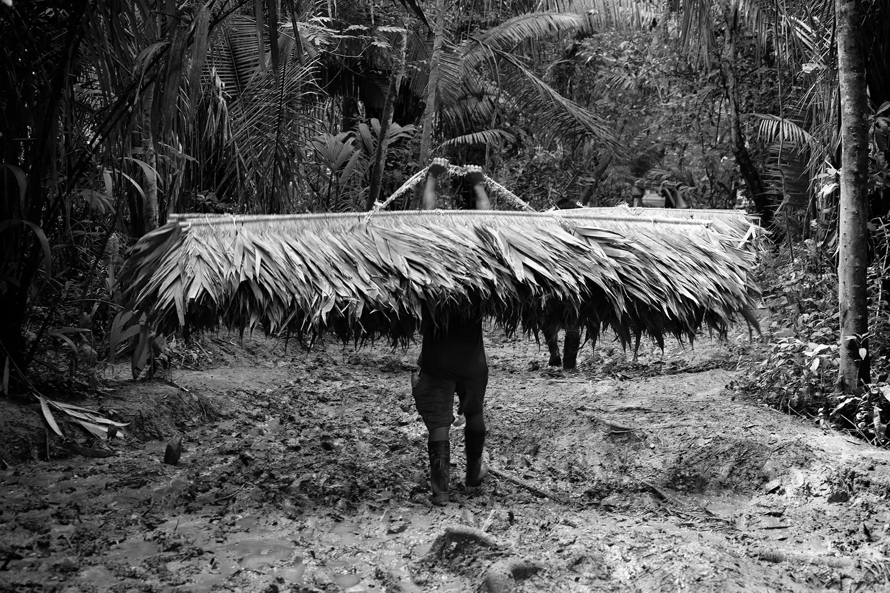 Gonçalo Cunha de Sá