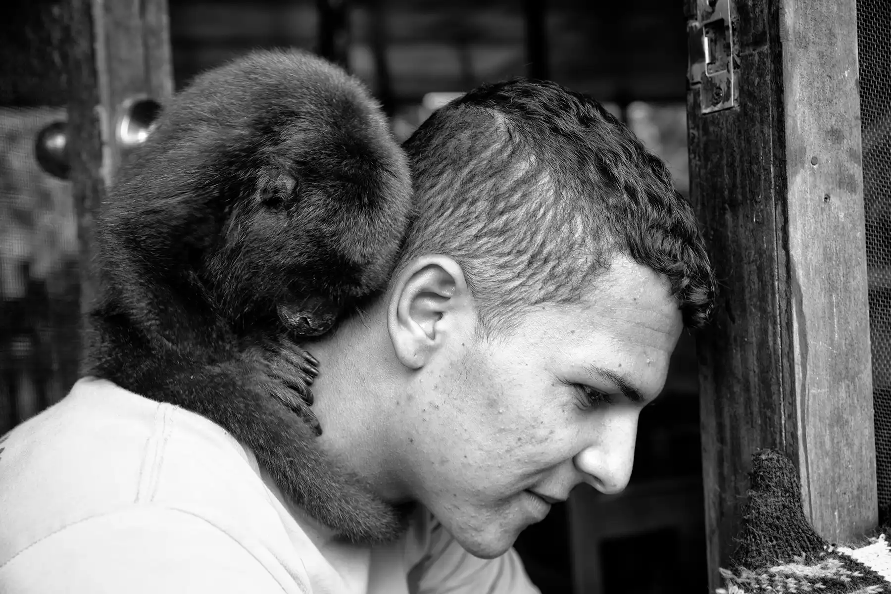 Gonçalo Cunha de Sá