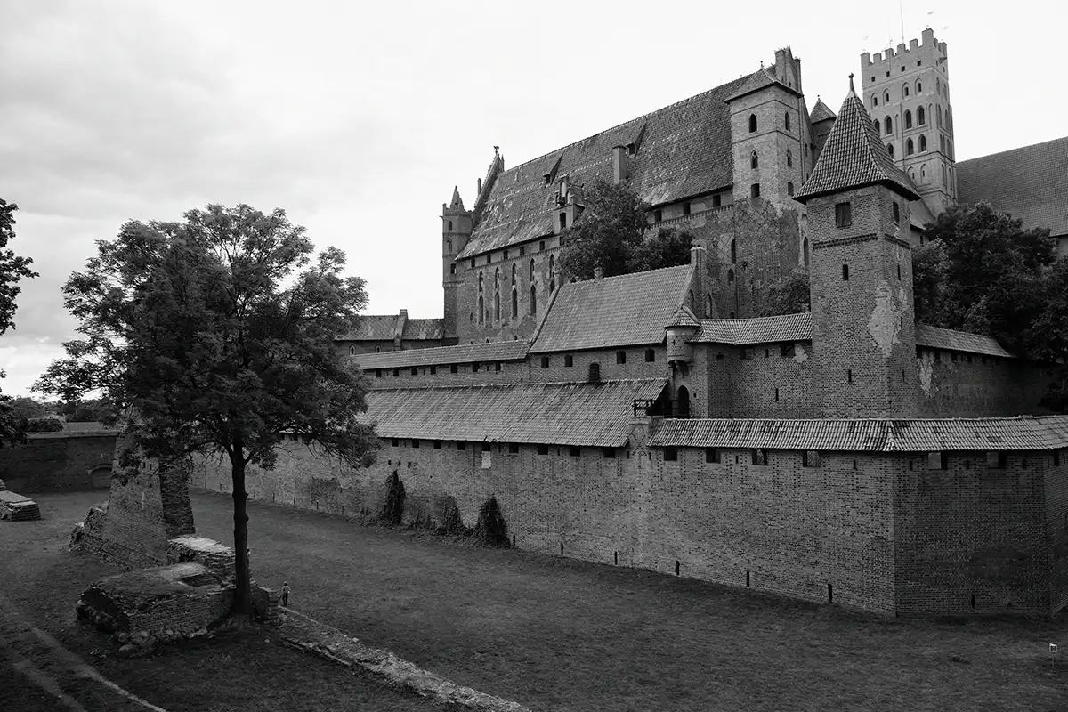 Gonçalo Cunha de Sá