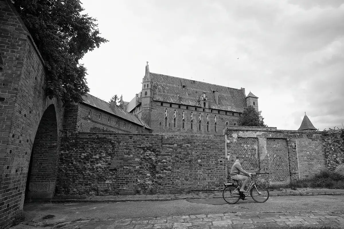 Gonçalo Cunha de Sá