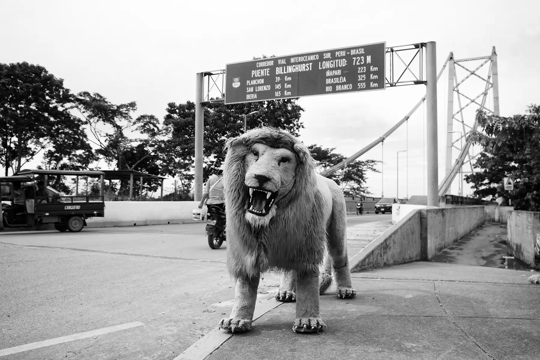 Gonçalo Cunha de Sá