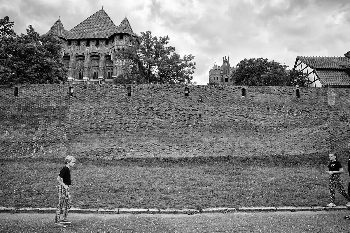 Gonçalo Cunha de Sá