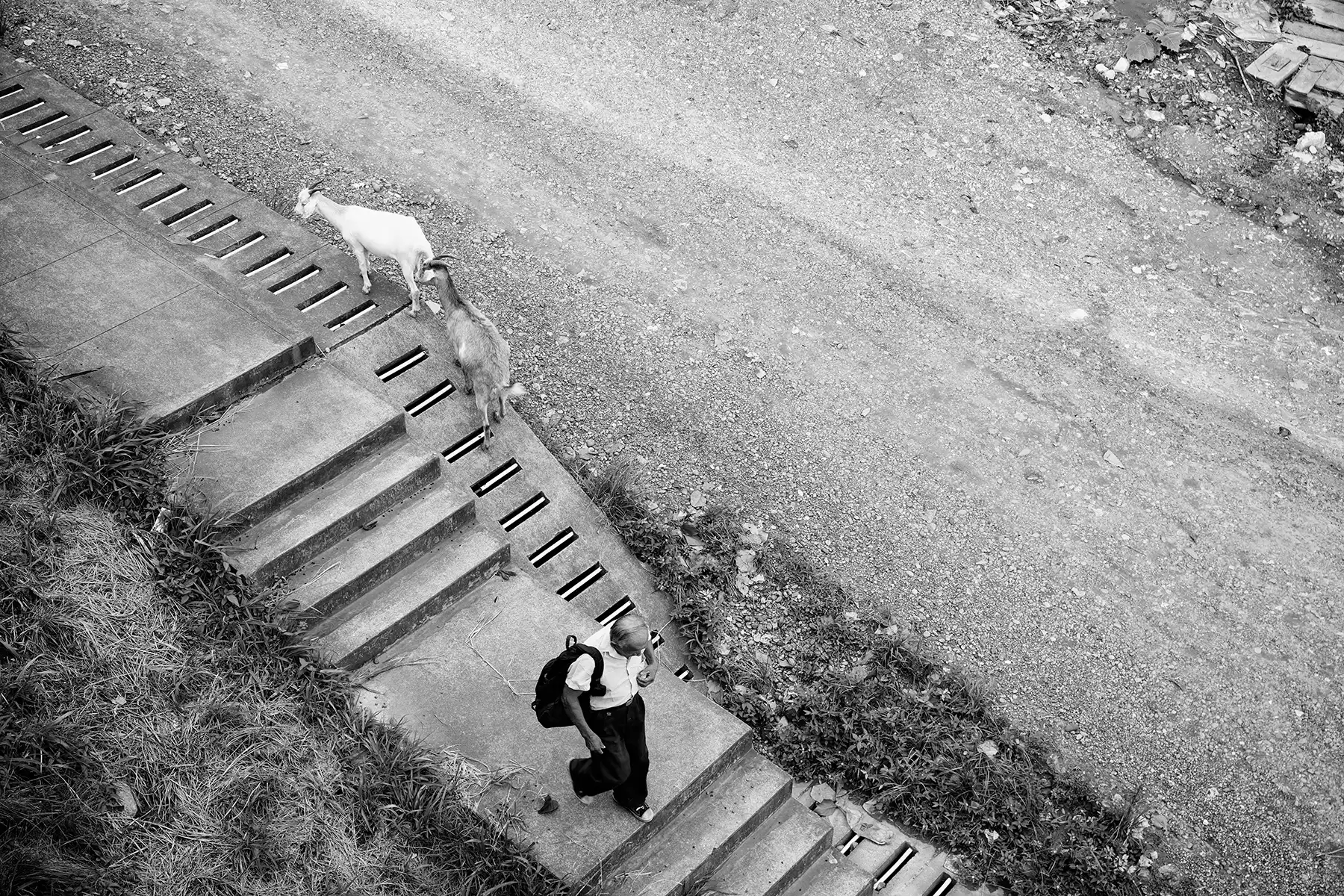 Gonçalo Cunha de Sá