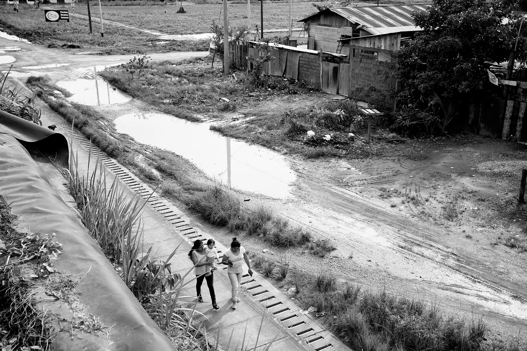 Gonçalo Cunha de Sá