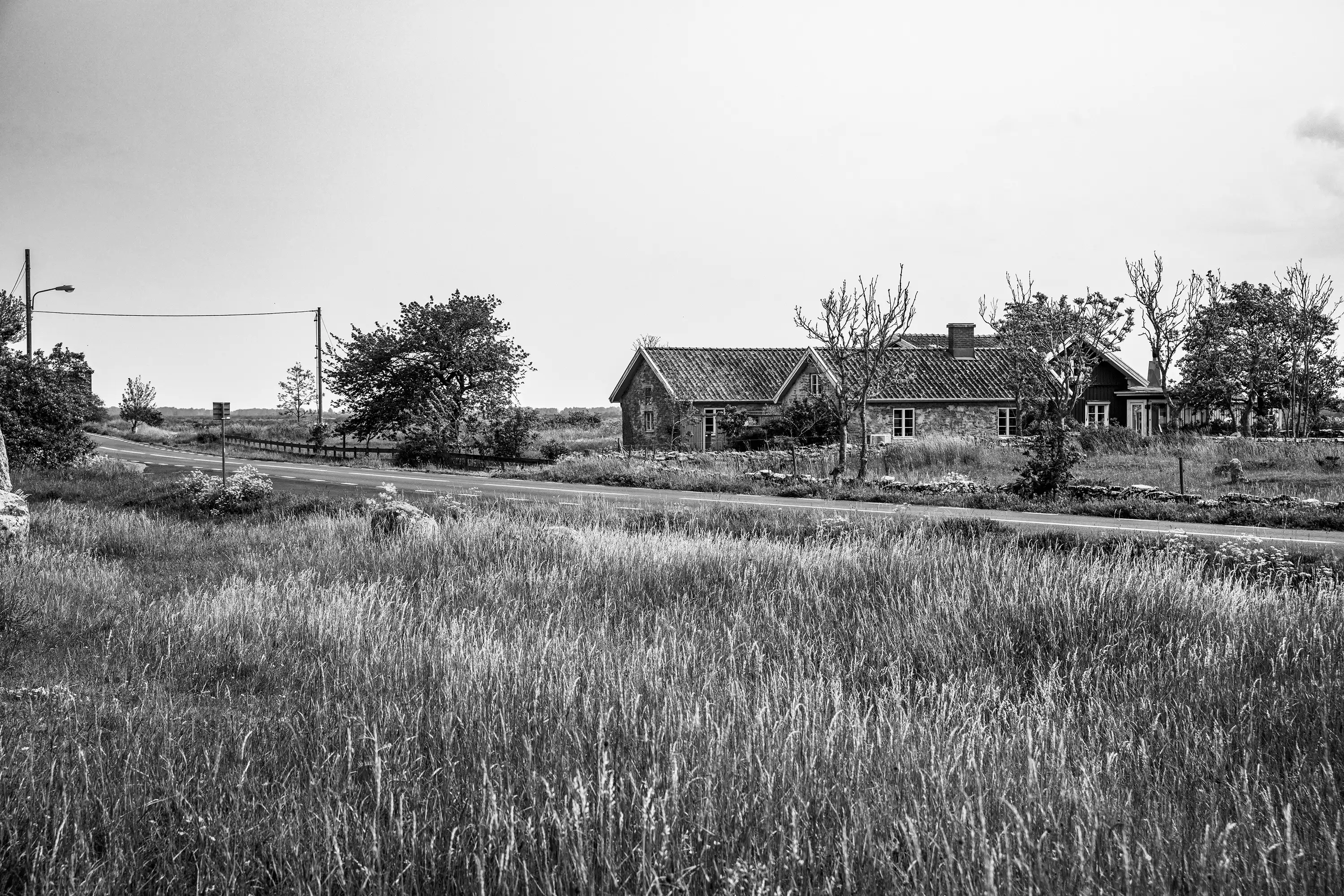 Gonçalo Cunha de Sá