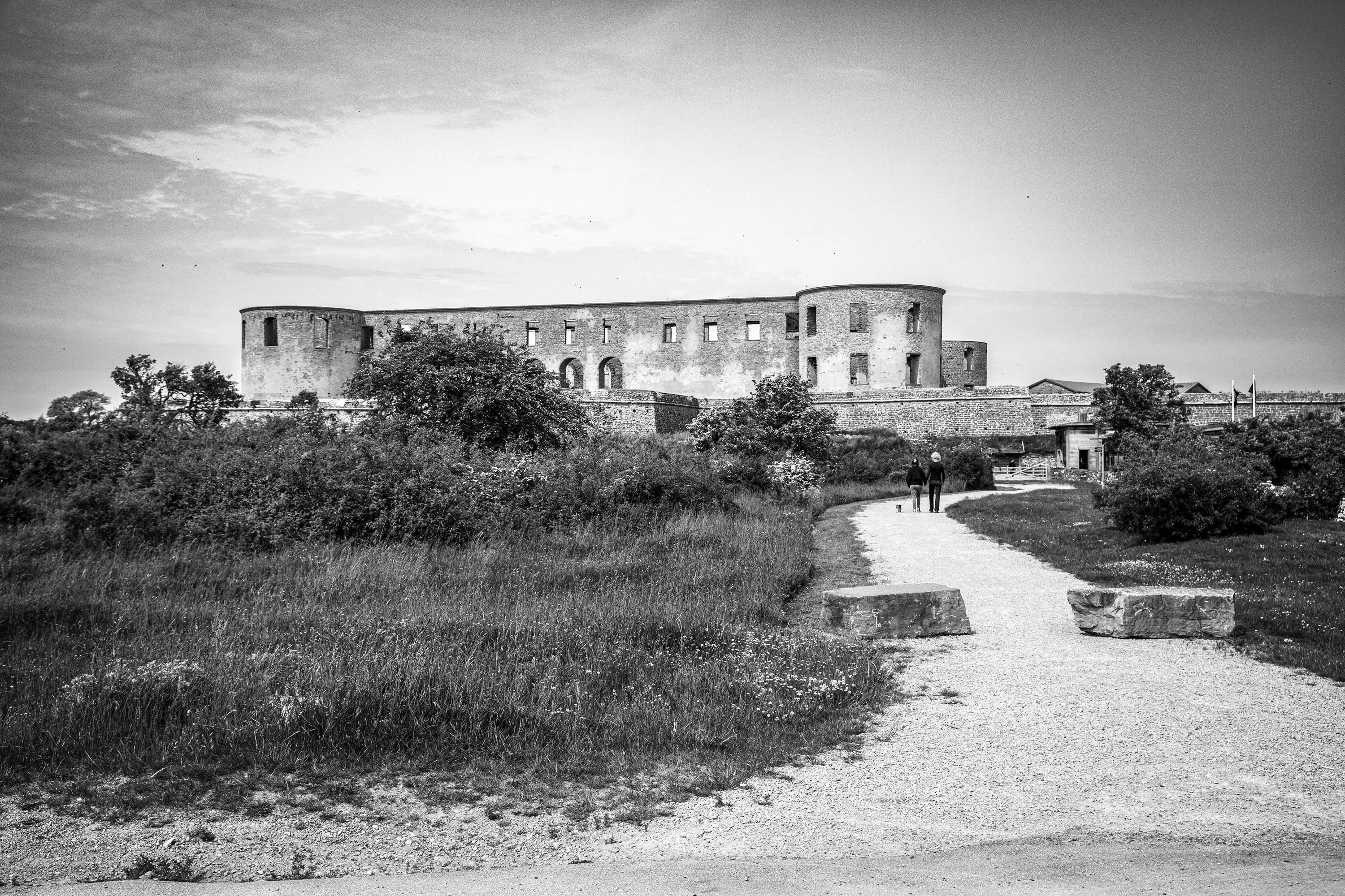 Gonçalo Cunha de Sá