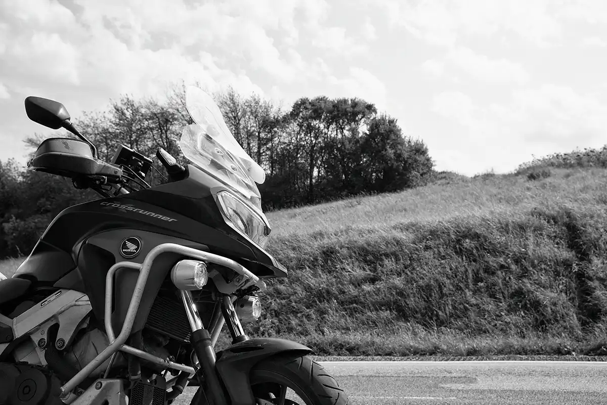 Gonçalo Cunha de Sá