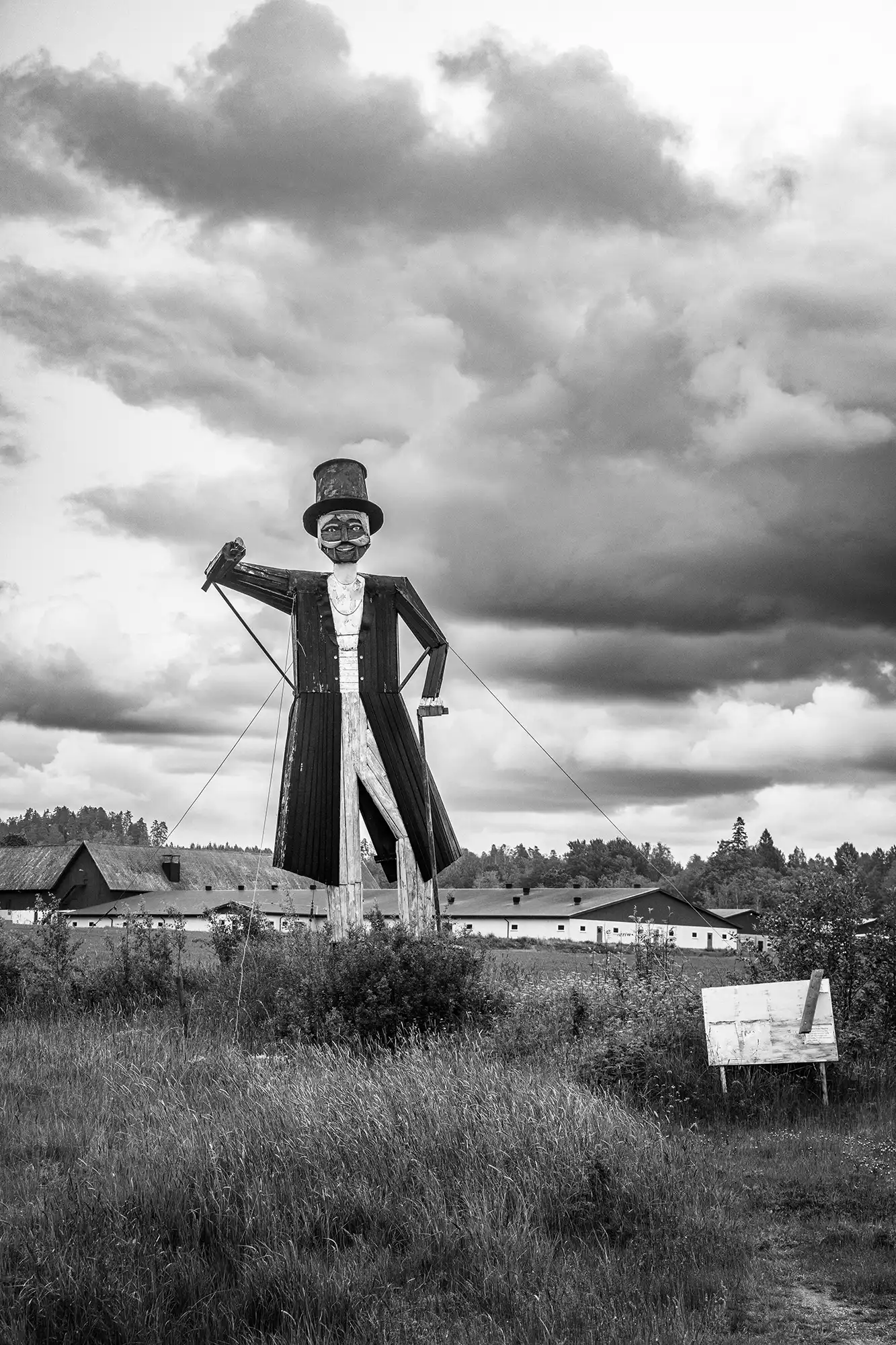 Gonçalo Cunha de Sá