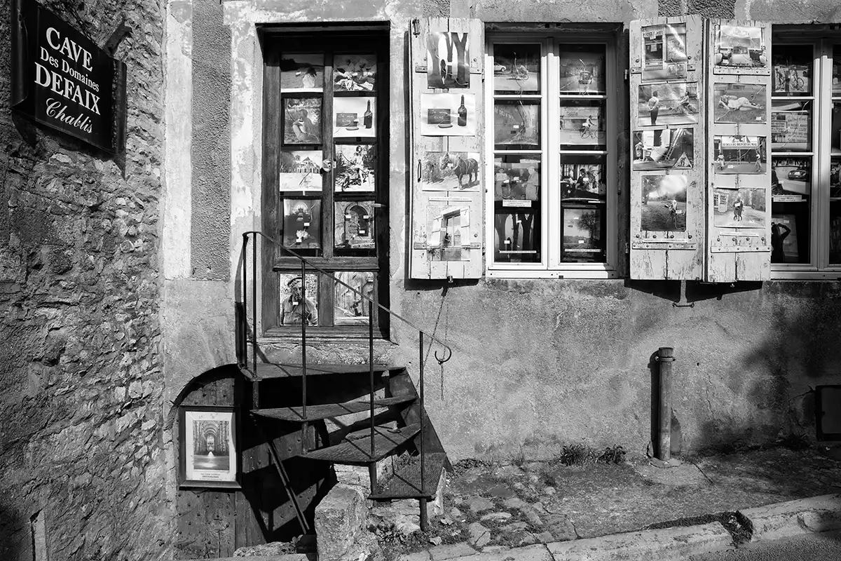 Gonçalo Cunha de Sá