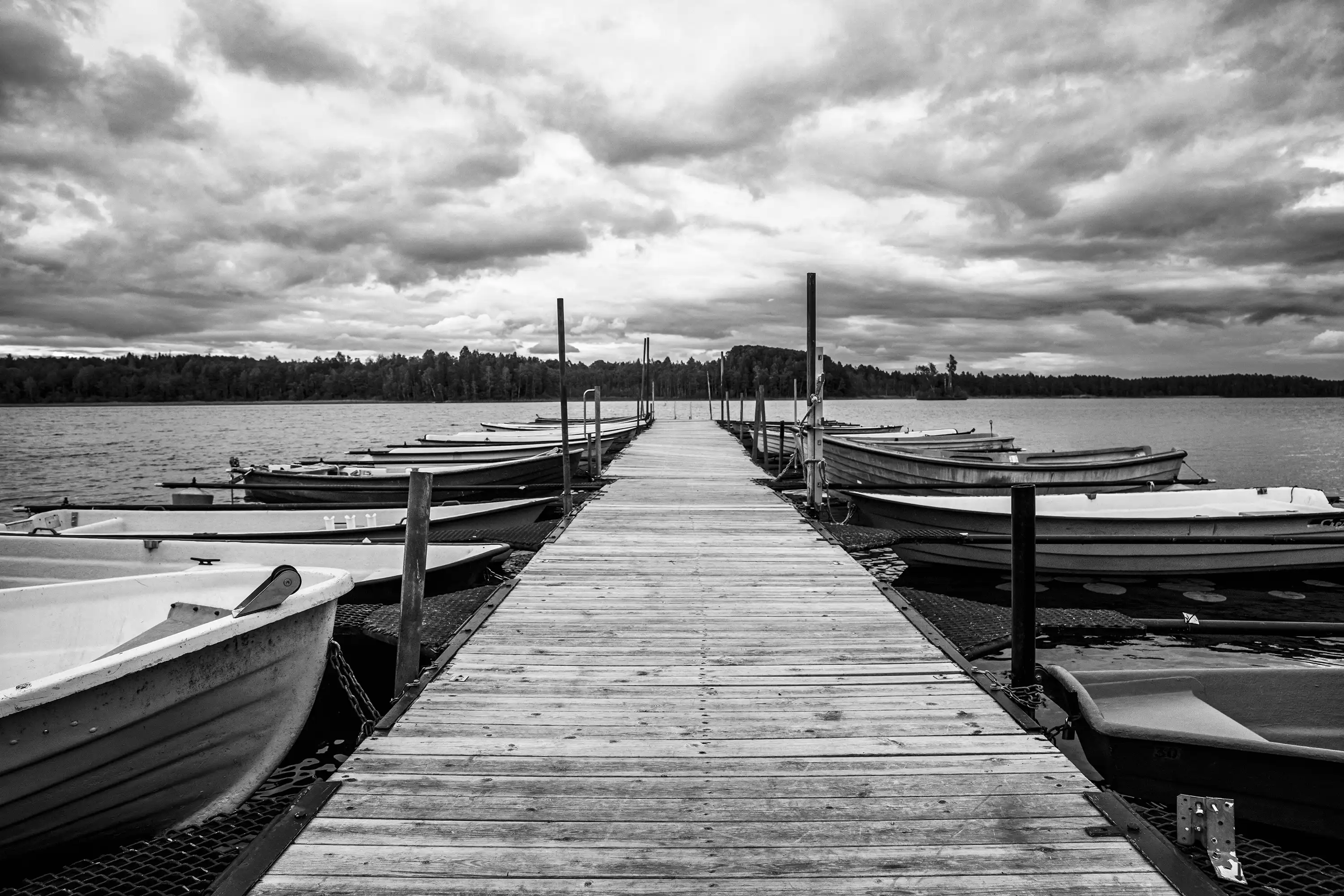 Gonçalo Cunha de Sá