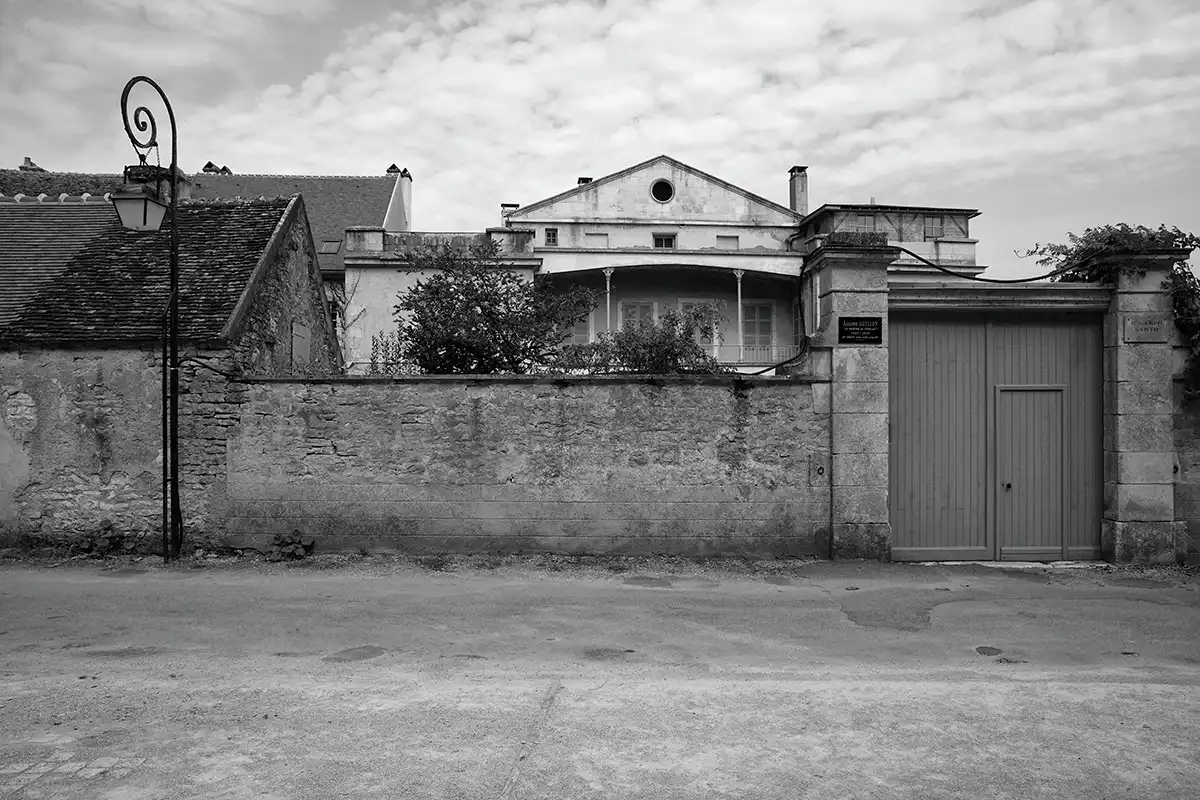 Gonçalo Cunha de Sá