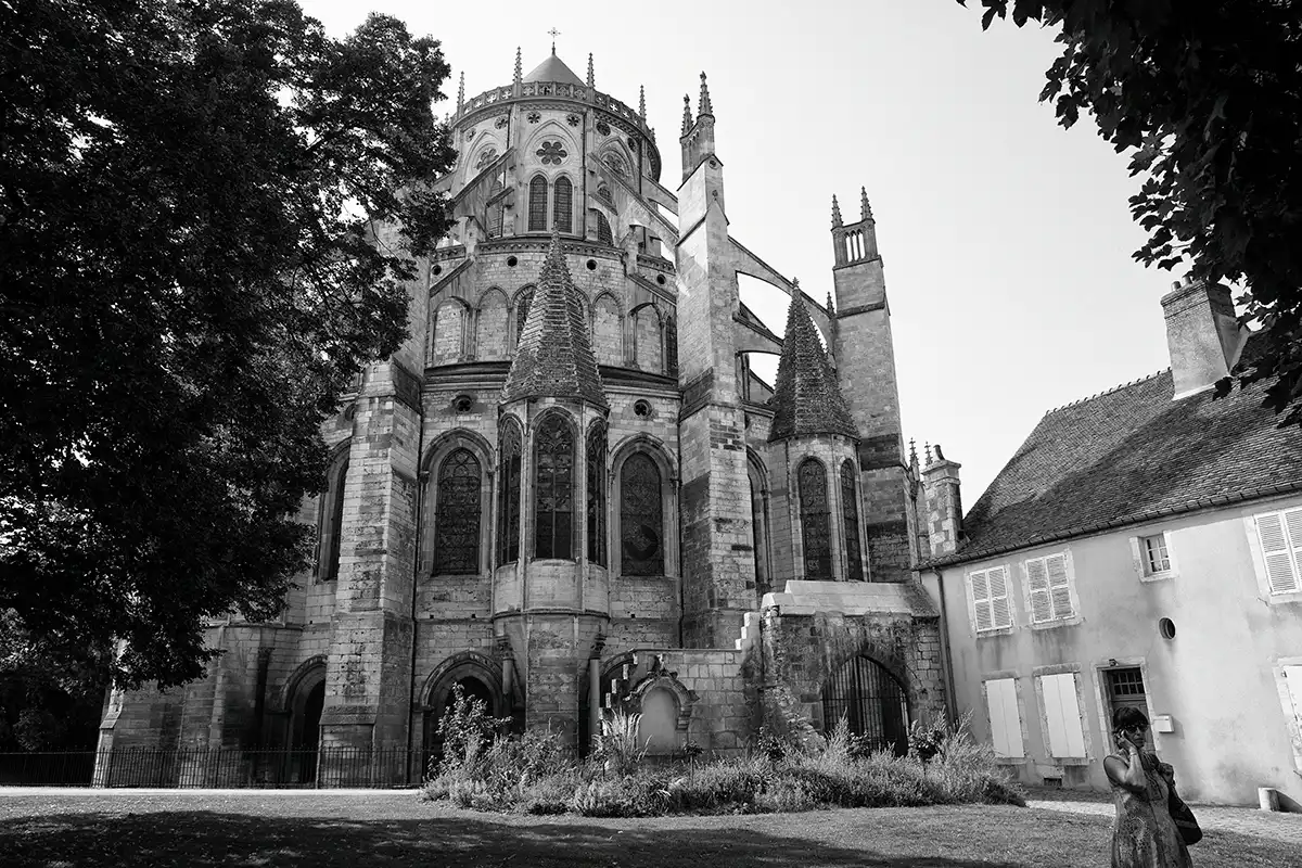 Gonçalo Cunha de Sá