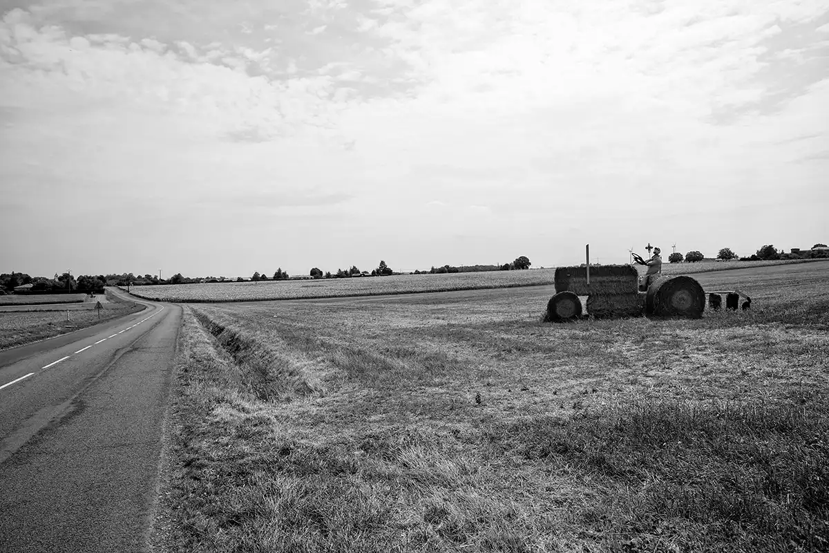 Gonçalo Cunha de Sá