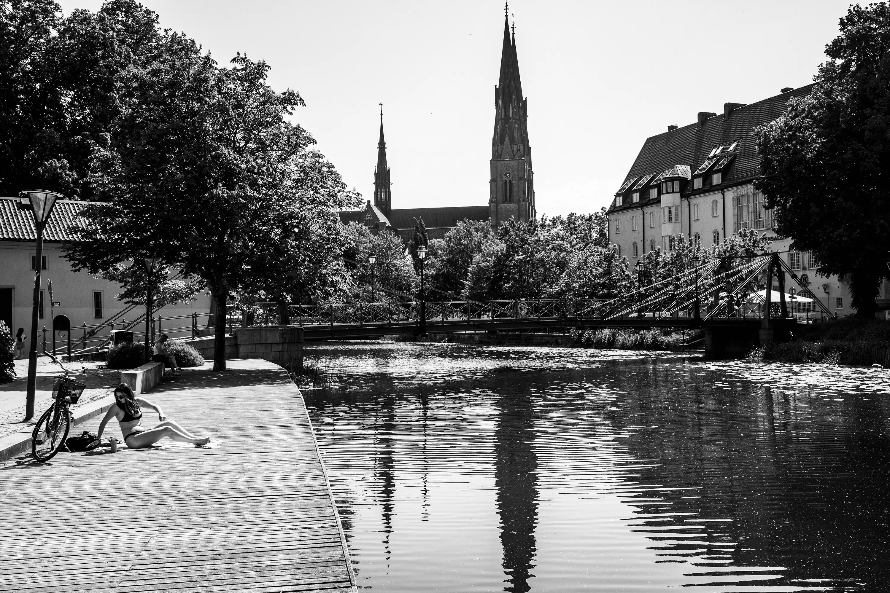 Gonçalo Cunha de Sá