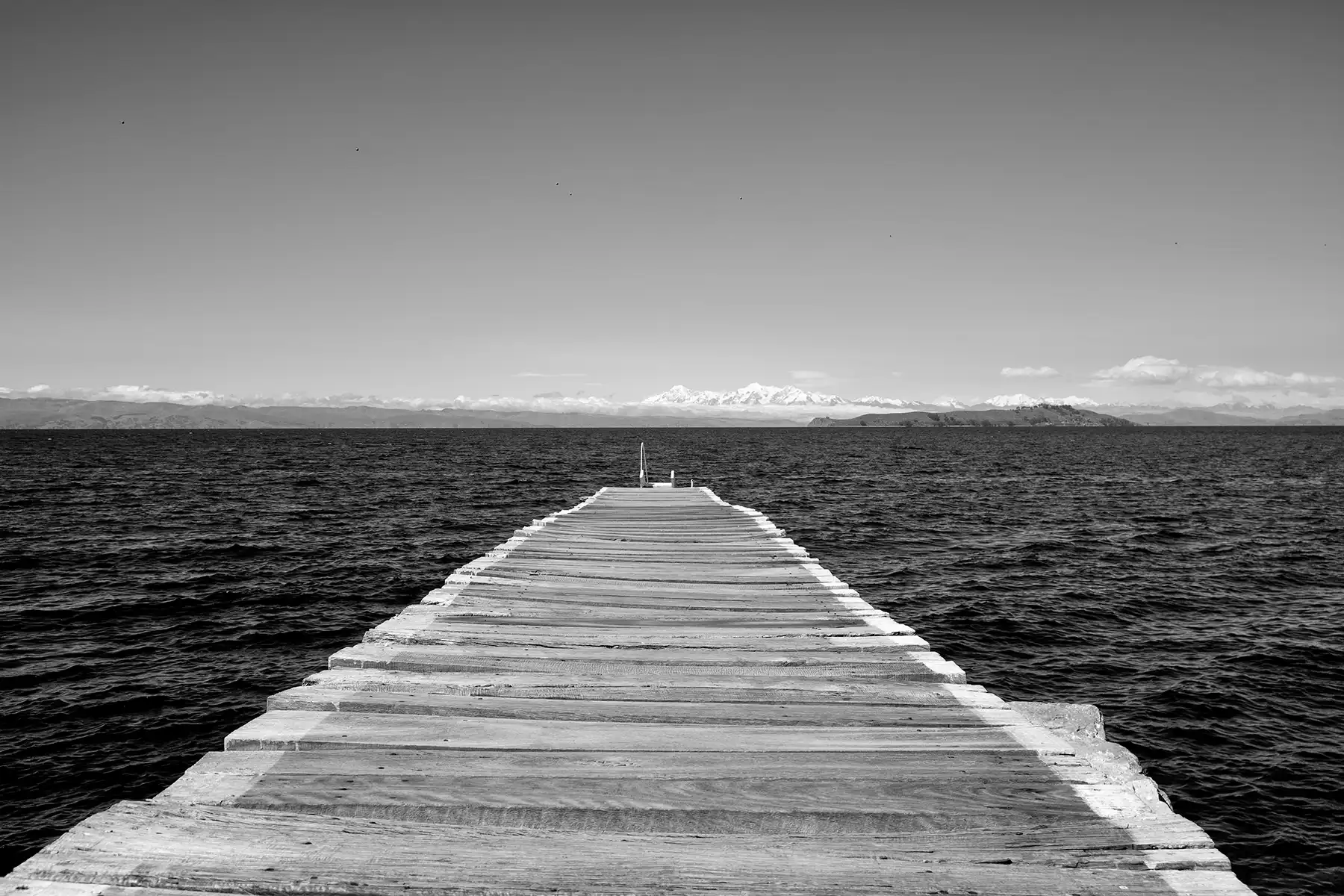 Gonçalo Cunha de Sá