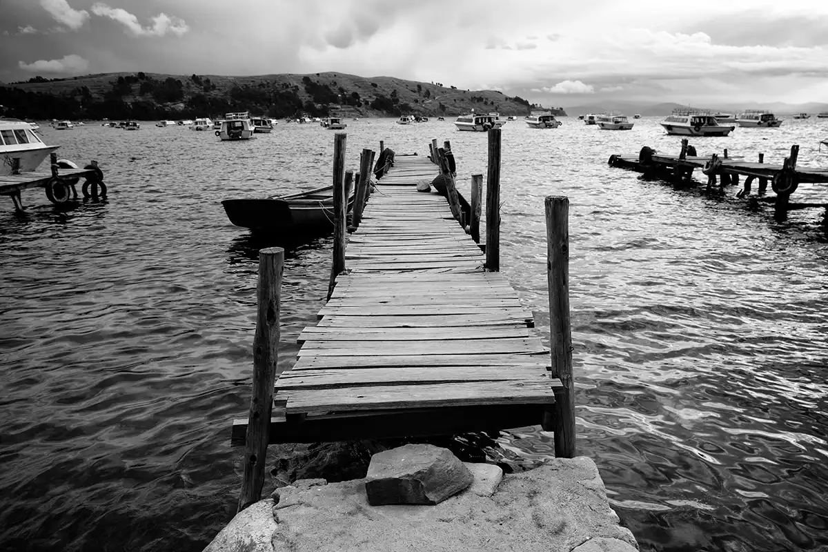 Gonçalo Cunha de Sá