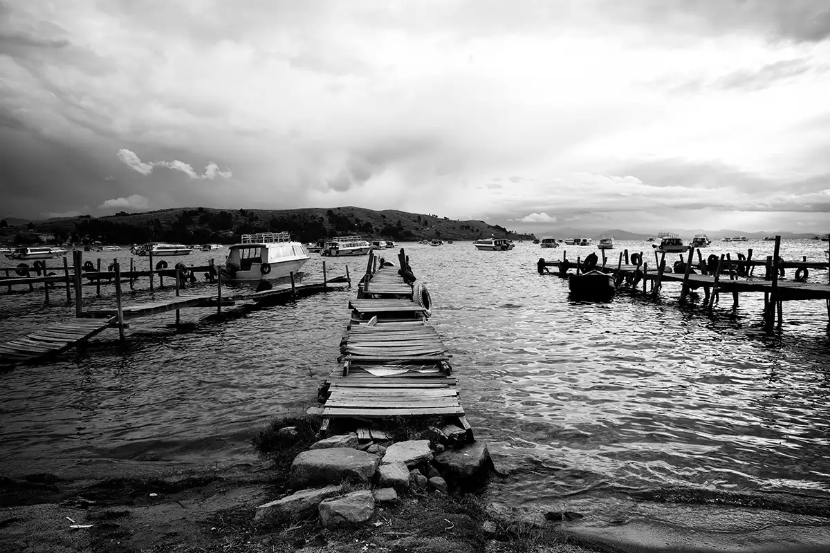 Gonçalo Cunha de Sá