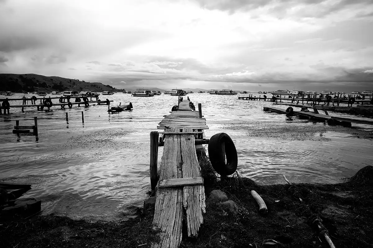 Gonçalo Cunha de Sá