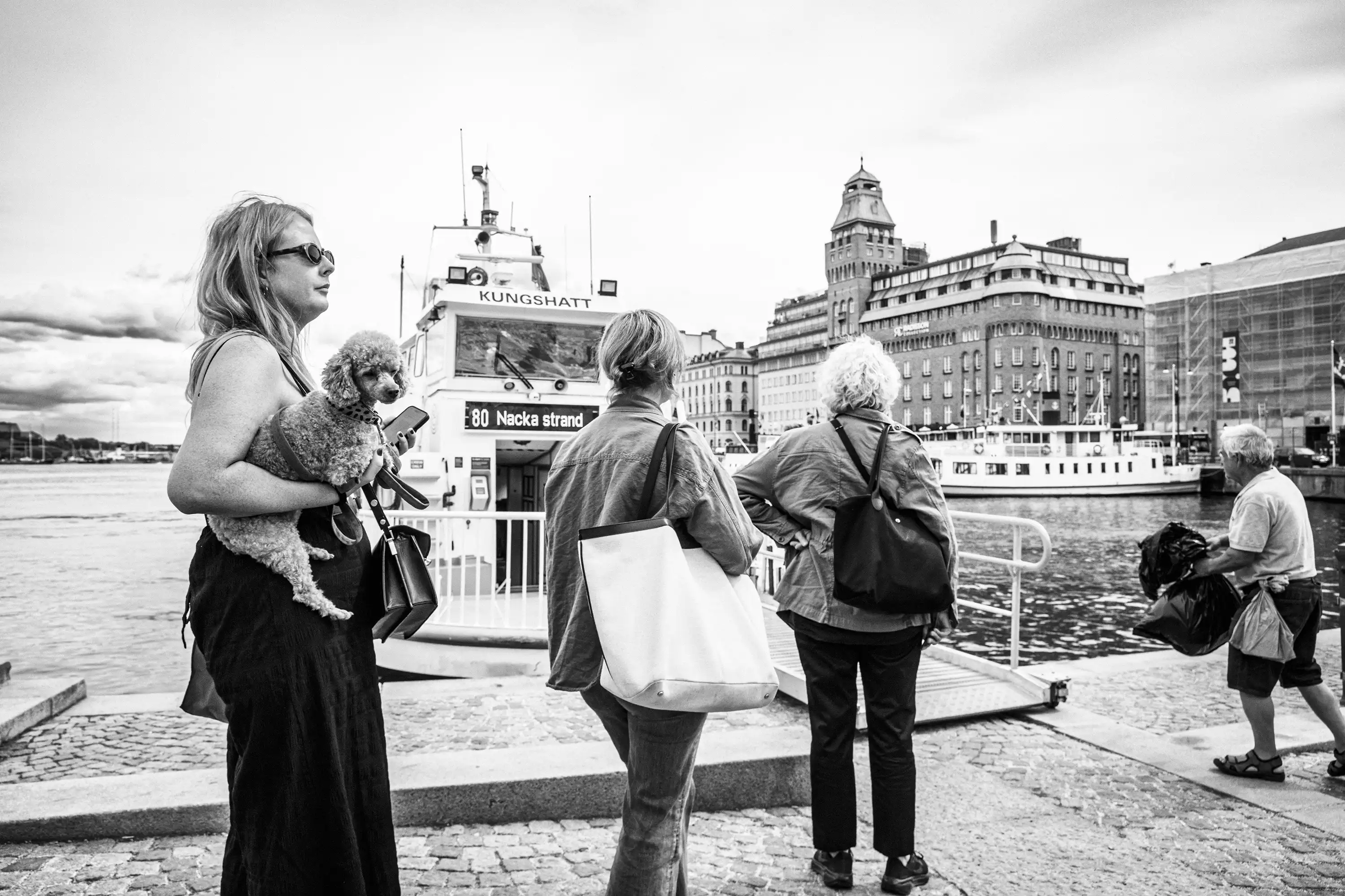 Gonçalo Cunha de Sá