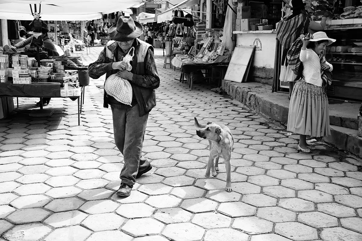 Gonçalo Cunha de Sá