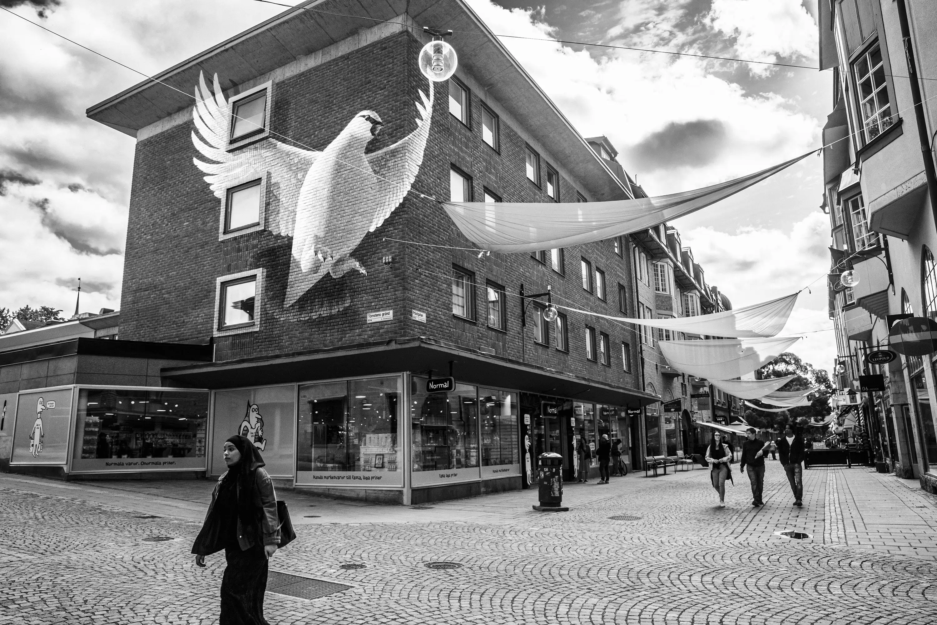 Gonçalo Cunha de Sá