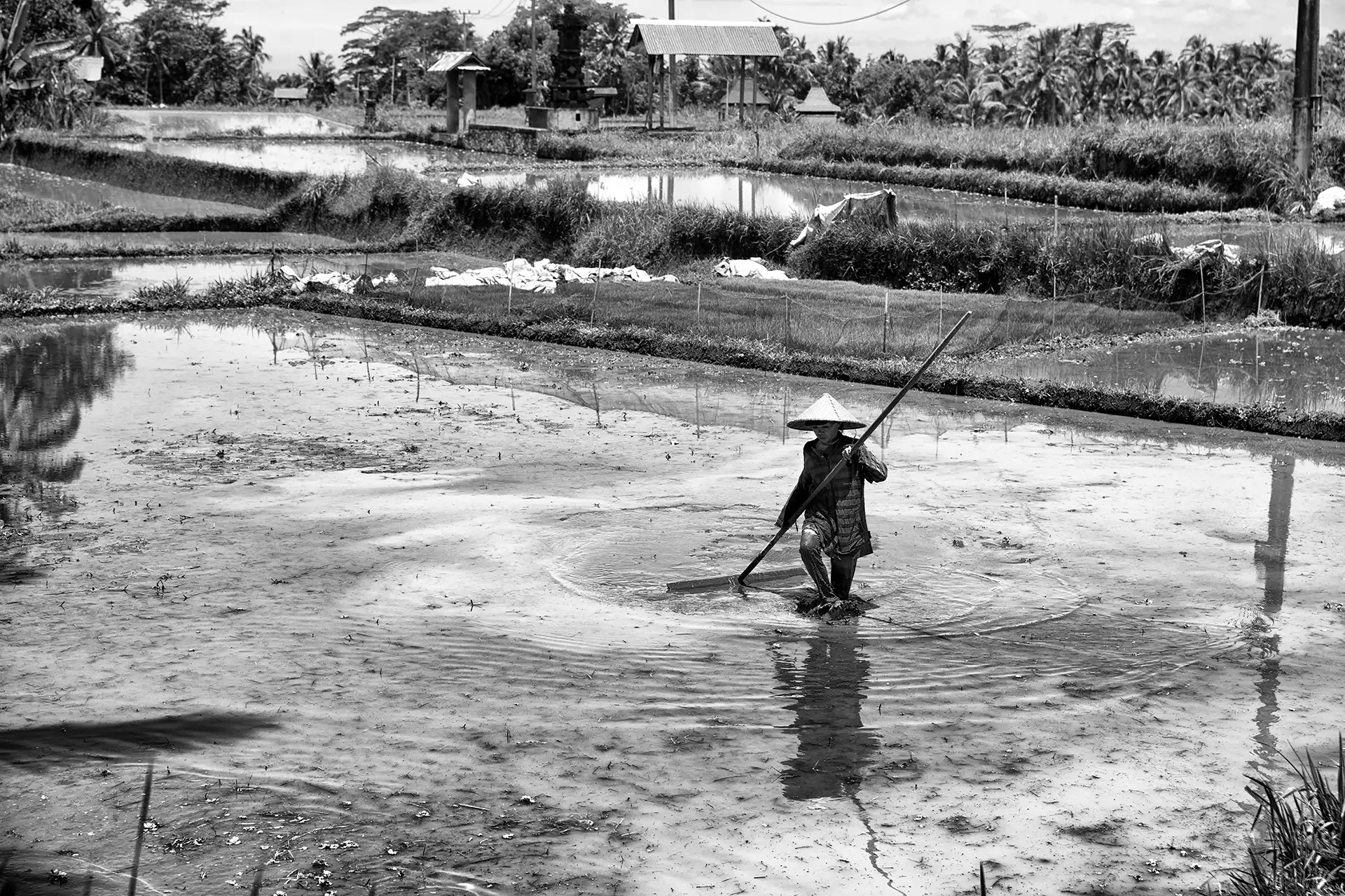 Gonçalo Cunha de Sá