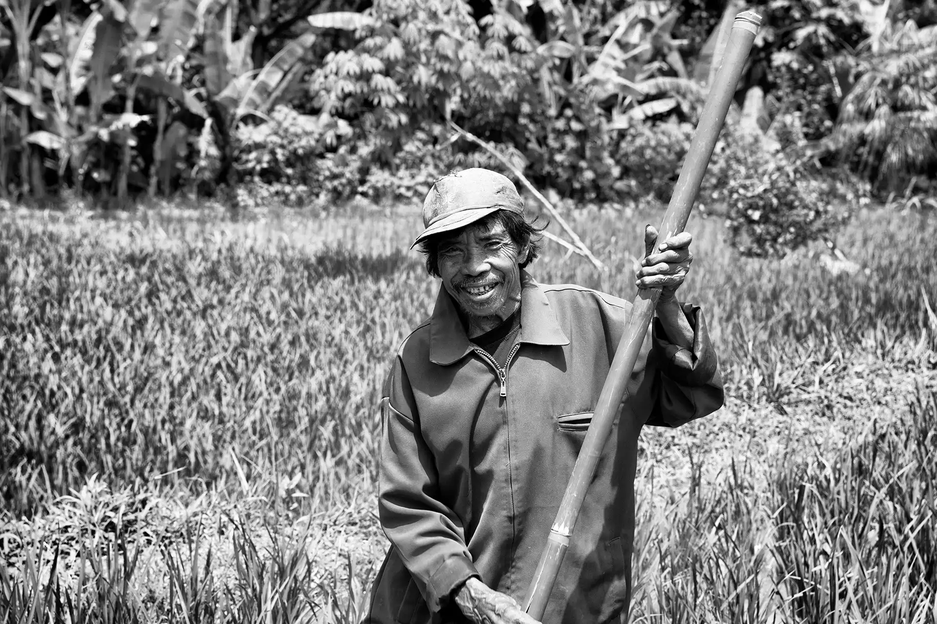 Gonçalo Cunha de Sá