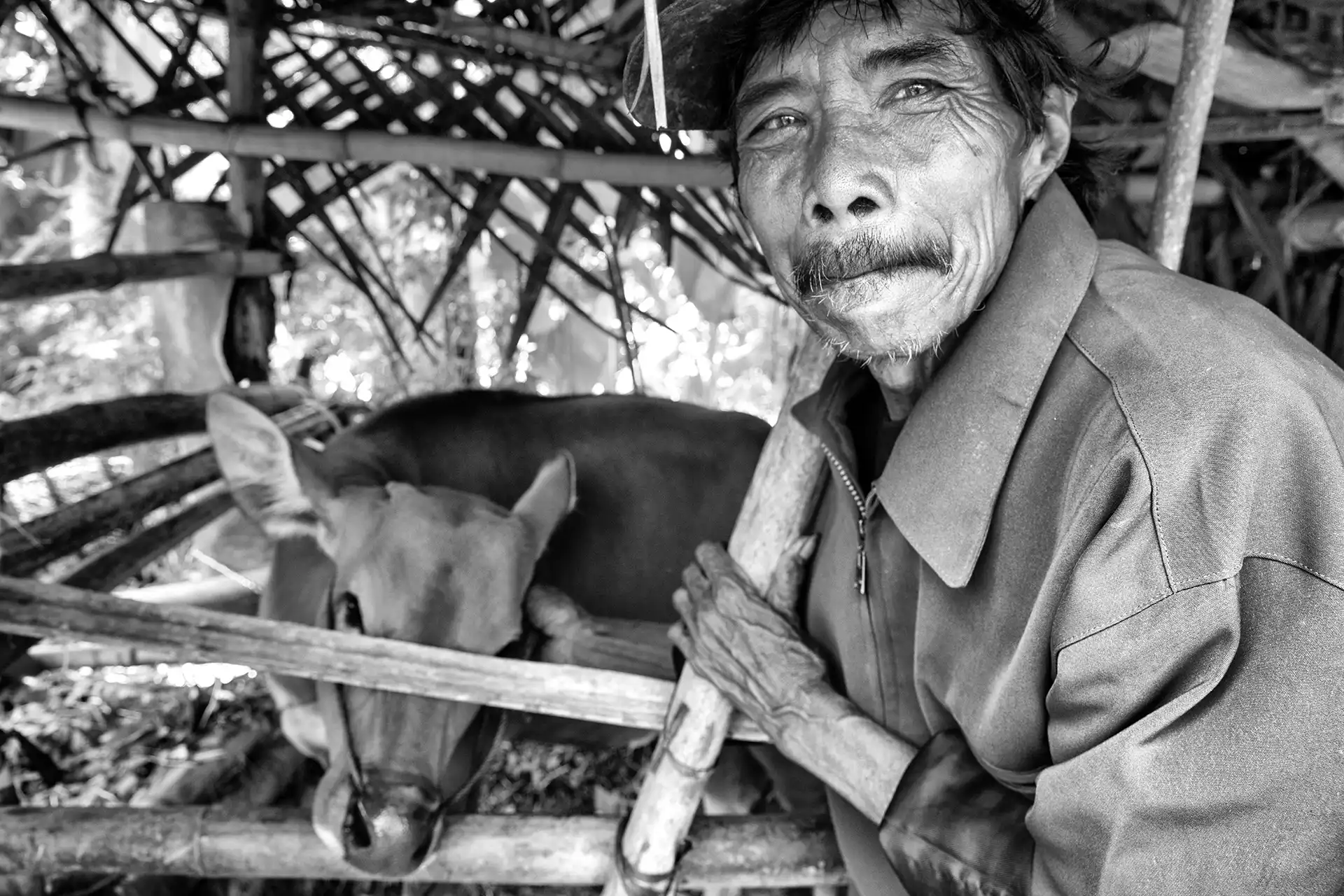 Gonçalo Cunha de Sá
