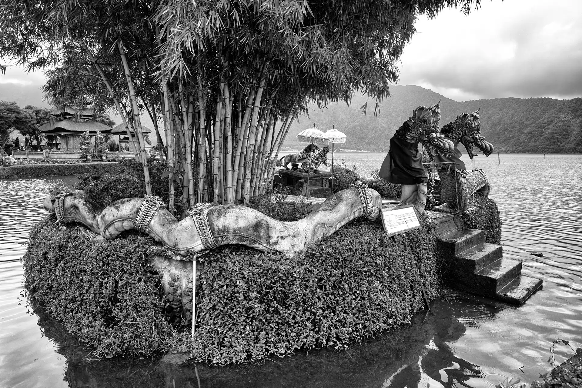 Gonçalo Cunha de Sá