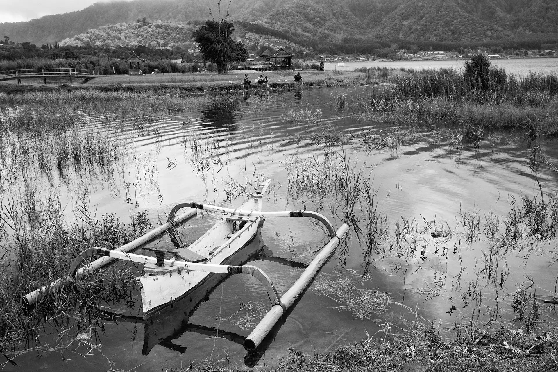 Gonçalo Cunha de Sá