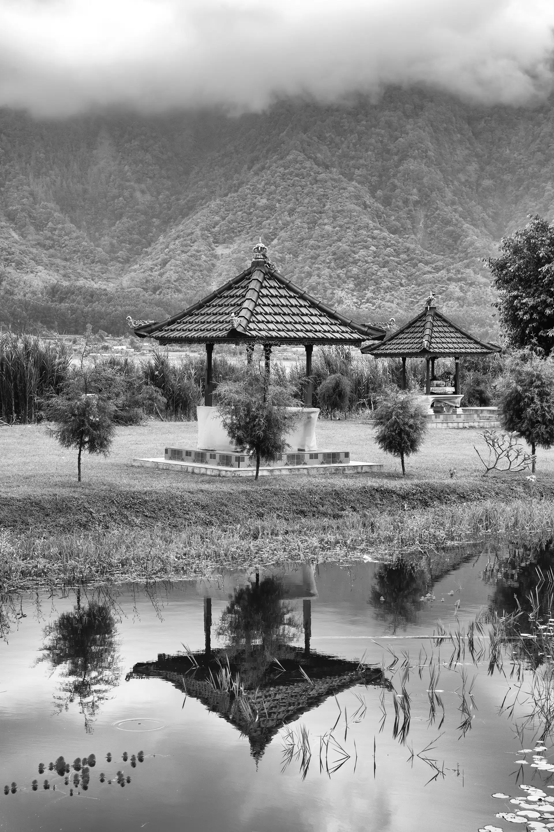 Gonçalo Cunha de Sá